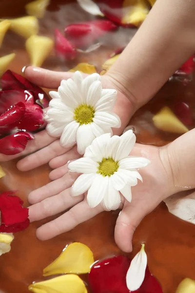 Aromaterapia, kwiaty ręcznie kąpieli, róża płatek — Zdjęcie stockowe