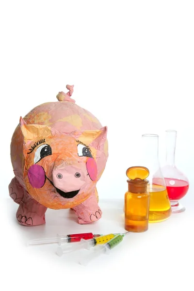 Vackra lilla rosa gris med medicin ah1n1 — Stockfoto