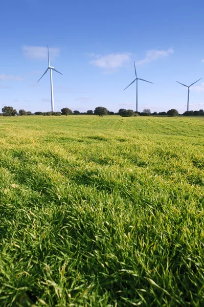 Ecological electric energy windmills in meadow — Stock Photo, Image
