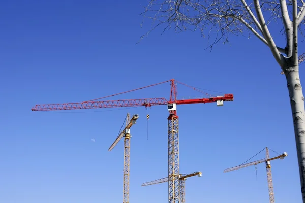 Construção guindastes vista sobre o céu azul — Fotografia de Stock