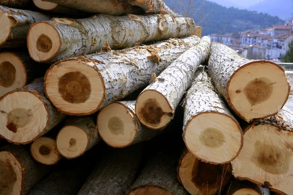 Toros de madeira empilhados, troncos de árvores — Fotografia de Stock