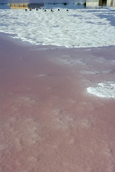 Salzproduktion aus getrocknetem Meersalzwasser — Stockfoto