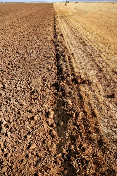클레이 텍스처 빨간 농업 토양 — 스톡 사진
