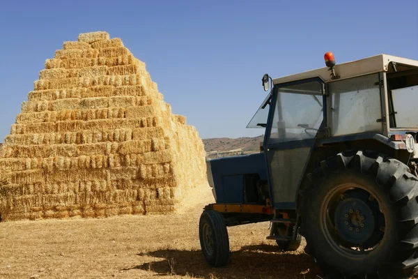 Упакованный коровник и сельскохозяйственный трактор — стоковое фото