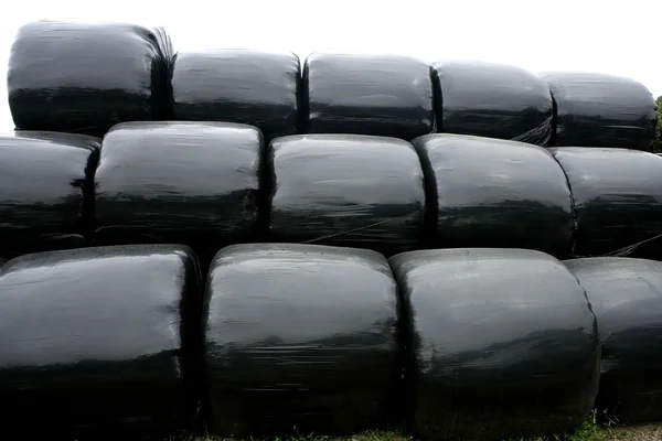 Siyah plastik wrap tahıl balyalar için kapak — Stok fotoğraf