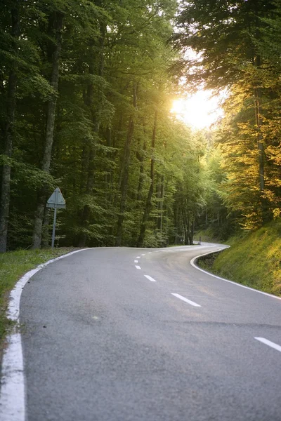Άσφαλτο γεμάτο στροφές δρόμο καμπύλη στο δάσος με τις οξιές — Φωτογραφία Αρχείου