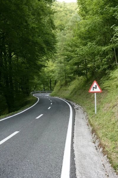 Estrada curva de enrolamento de asfalto em uma floresta de faia — Fotografia de Stock