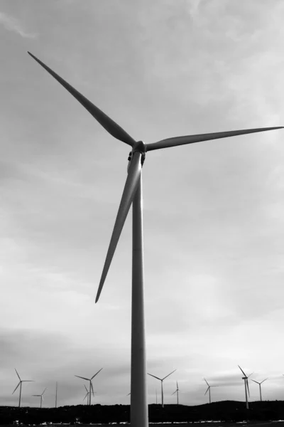 曇り上空風力電気の風車 — ストック写真