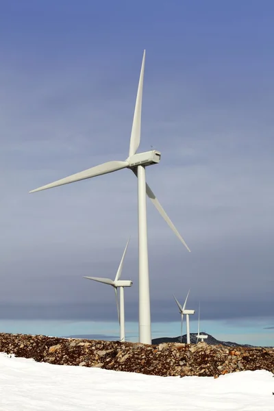 Electric aerogenerator windmills snow winter — Stock Photo, Image