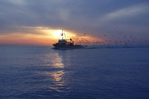 Profesionální rybářské lodi Racek na západ slunce — Stock fotografie