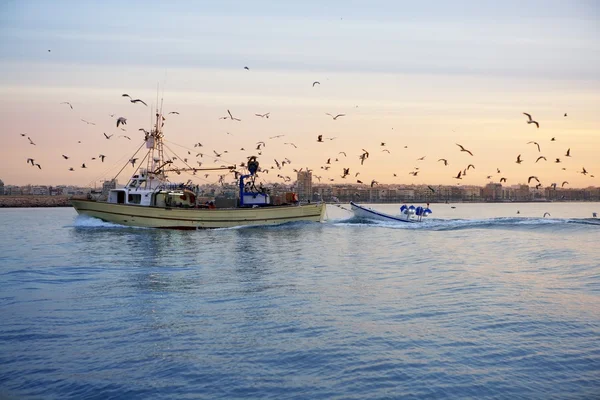 Barco de pesca profissional gaivota no pôr do sol nascer — Fotografia de Stock