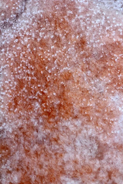 Ses 萨林斯福门特拉岛盐场盐纹理 — 图库照片
