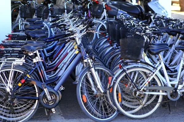 Biciclette di fila molti in un negozio di noleggio biciclette — Foto Stock
