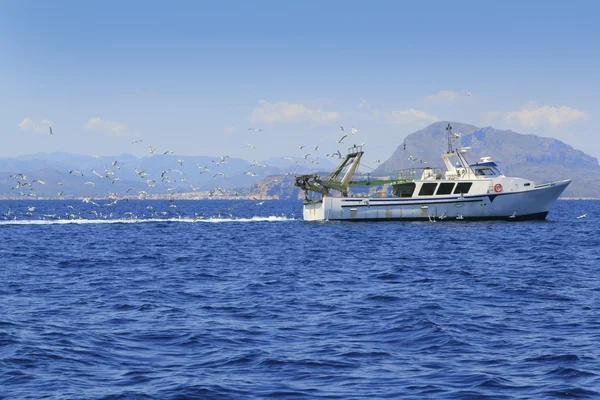 Bateau de pêche professionnel de nombreux mouettes bleu océan — Photo