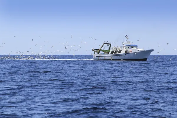 Pescador profissional muitas gaivotas oceano azul — Fotografia de Stock