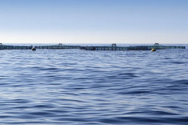 Granja de peces en el horizonte marino del océano azul — Foto de Stock