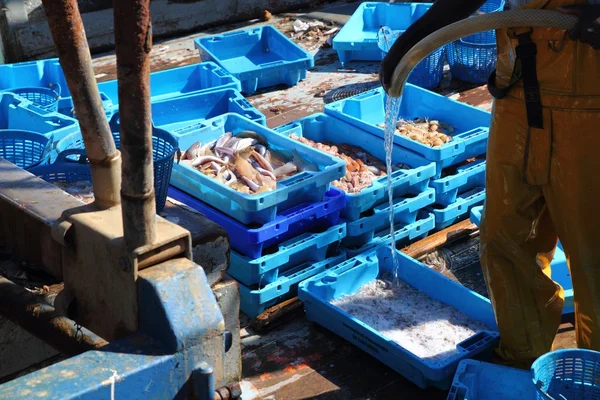 Ψαράς στο fisher βάρκα κατάστρωμα, καθαρισμός κουτιά ψάρια — Φωτογραφία Αρχείου