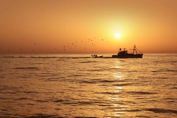 Fisherboat profesionální sardinek zachytit rybolovu sunrise — Stock fotografie