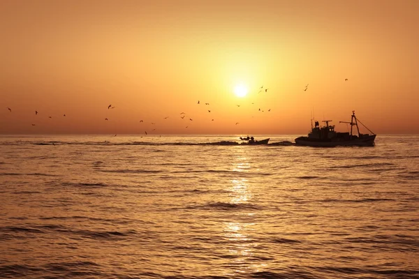 เรือประมงปลาซาร์ดีนมืออาชีพจับปลาพระอาทิตย์ขึ้น — ภาพถ่ายสต็อก