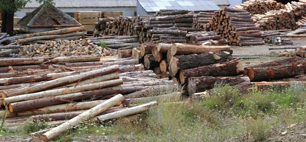 Troncos indústria madeireira troncos empilhados ao ar livre — Fotografia de Stock