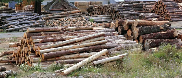 ログ木材産業トランク積み上げ屋外 — ストック写真