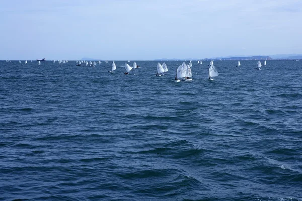 Optimist, rekreasyon küçük yelkenli tekne yarışı, İspanya