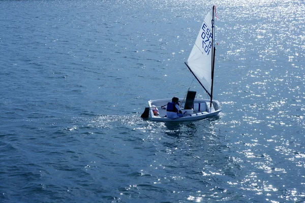 Optimist, recreation little sailboat regatta, Spain — Stock Photo, Image