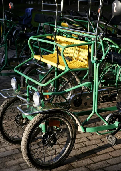 Dubbel cykeltur på park — Stockfoto