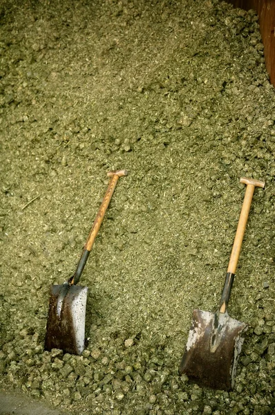 Две лопаты в сухой люцерне, корм для лошадей, амбар, амбар . — стоковое фото