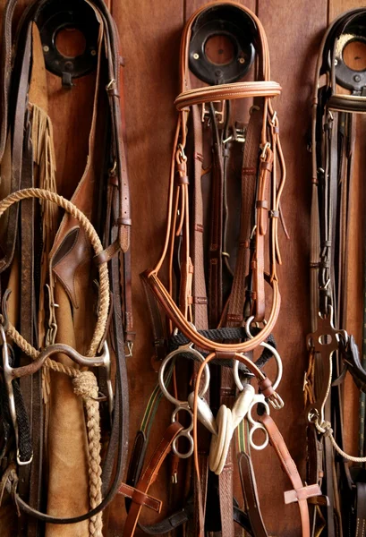 骑着马的补充，钻机、 缰绳、 皮革结束木头 — 图库照片