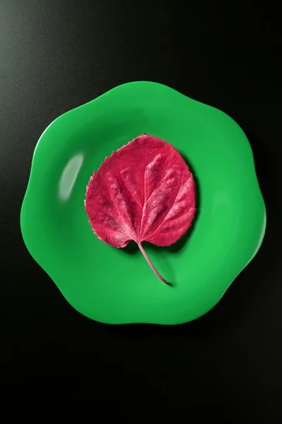 Metafoor, gezonde voeding caloriearm vegetarische blad maaltijd — Stockfoto