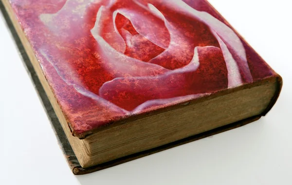 玫瑰印在一本老书的封面上 — 图库照片
