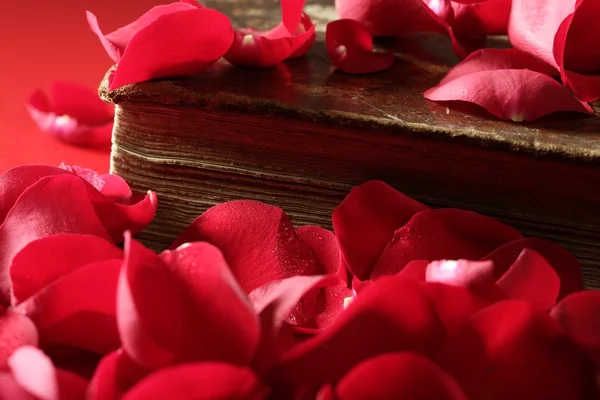 Rose petals over old aged book — Stock Photo, Image