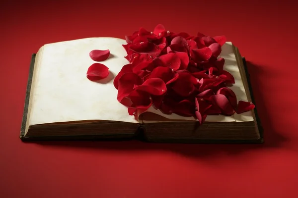 Růží nad knihou starého věku — Stock fotografie
