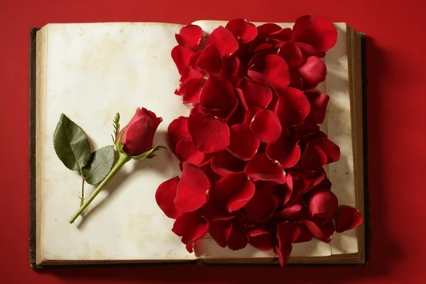 Rosenblätter über altem Buch — Stockfoto