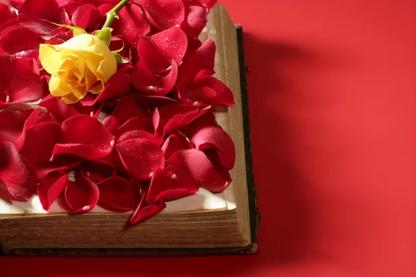 Pétales de rose sur vieux livre — Photo