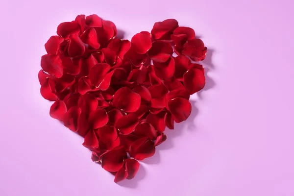 Petali rossi cuore, fiori di San Valentino metafora — Foto Stock