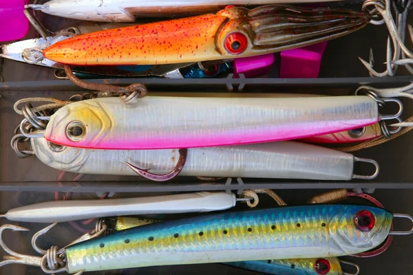 Разноцветная рыбная рыба приманивает коробку — стоковое фото