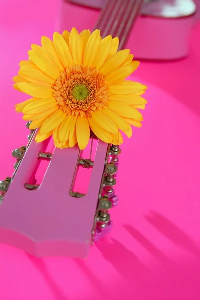 Hippie flower gul rosa gerbera på gitarr — Stockfoto