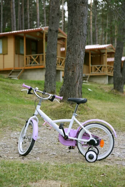 Děti růžové kolo v horská dřevěnice — Stock fotografie