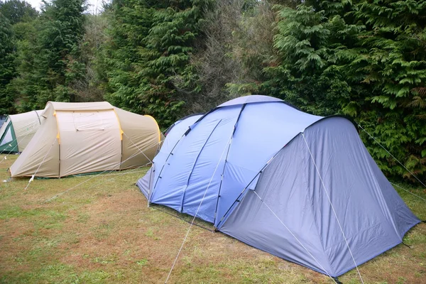 Camping campo de tenda sobre grama verde — Fotografia de Stock