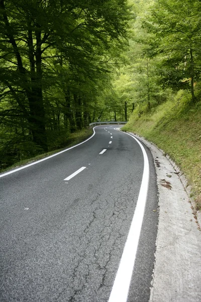 Asphalt winding curve road in a beech forest — Stock Photo, Image