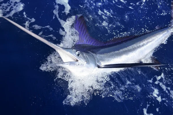 Witte marlijn grote spel sportvisserij — Stockfoto