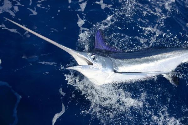 Bella marlin bianco vera pesca sportiva billfish — Foto Stock