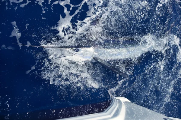 Рыбалка на атлантическом белом марлине — стоковое фото
