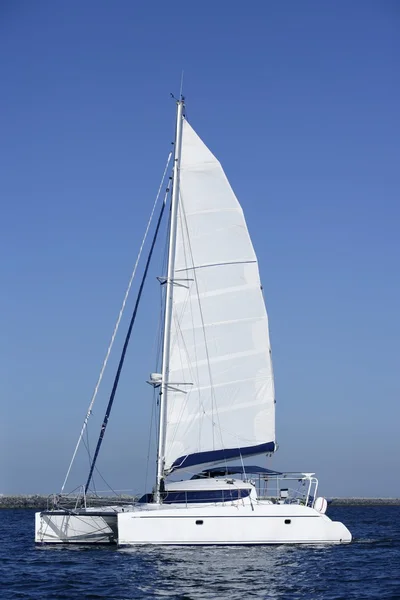 Katamaran segelbåt seglar blå havet vatten — Stockfoto