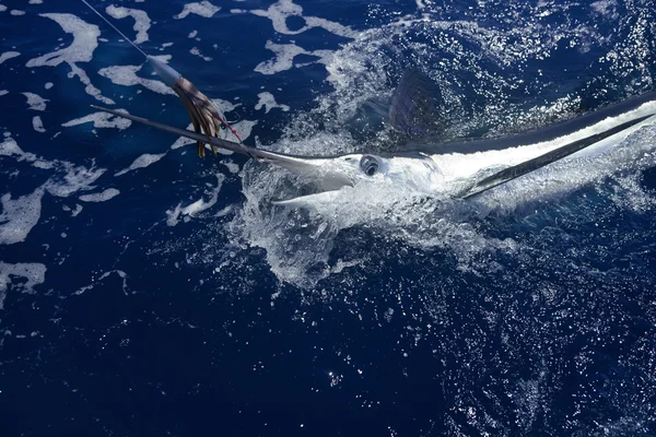 Atlantyku biały marlin połowów duże gry sportowe — Zdjęcie stockowe