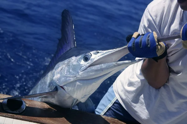 Billfish blanco Marlin captura y liberación en barco — Foto de Stock