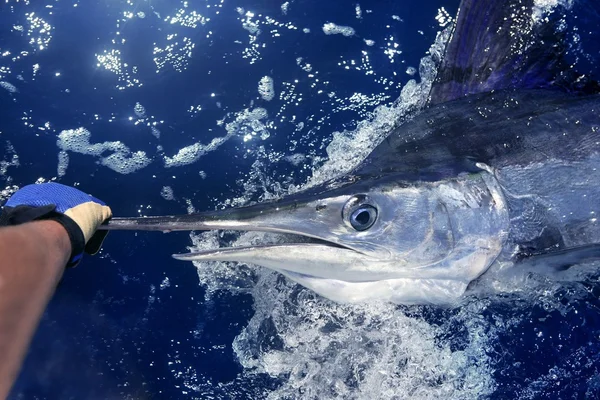 Рыбалка на атлантическом белом марлине — стоковое фото