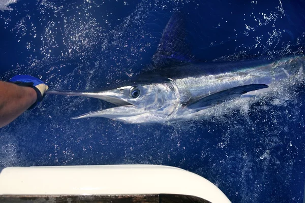 Atlantyku biały marlin połowów duże gry sportowe — Zdjęcie stockowe